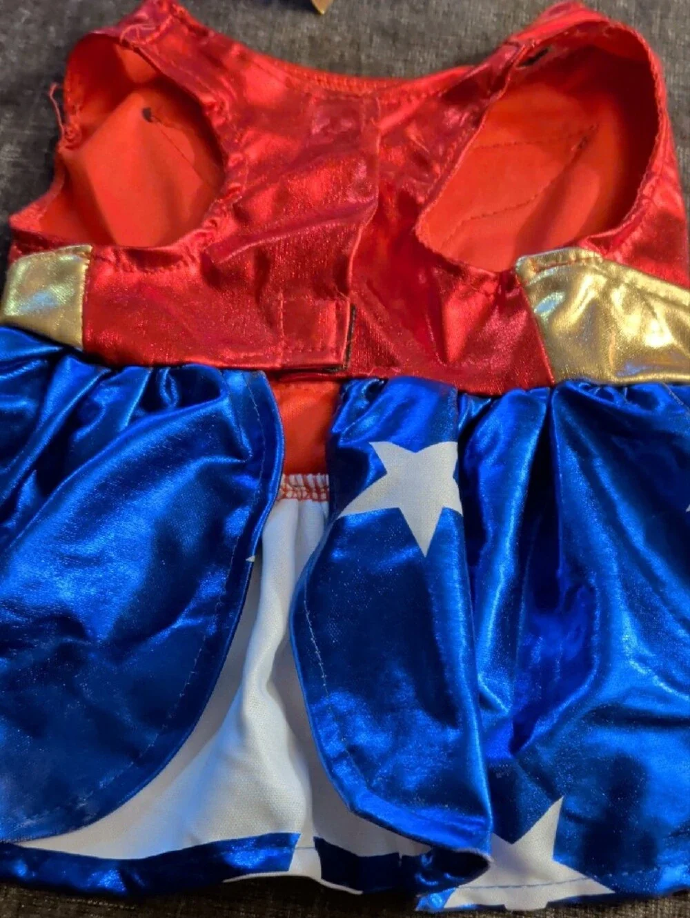 Rubie's Red, Blue & Gold Wonder-Inspired Dog Costume with Tiara
